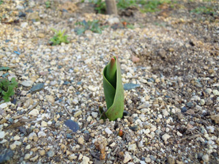 20130225.jpg