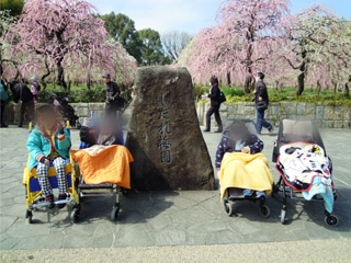 20130316no2.jpg
