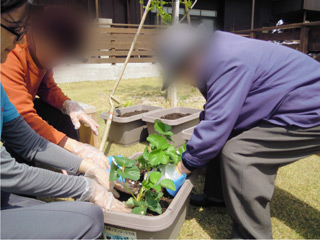 20130420no1.jpg