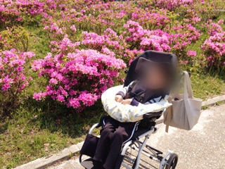 20130506no3.jpg