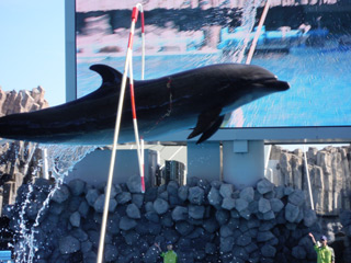 ensoku12111011.jpg