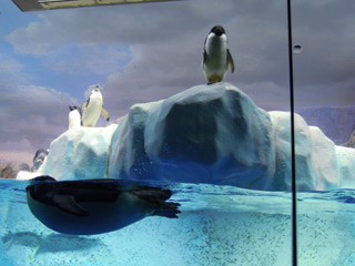 ensoku12111016.jpg