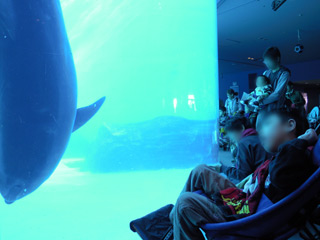 ensoku1211104.jpg