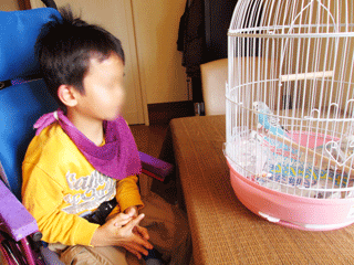 20140308no3.gif
