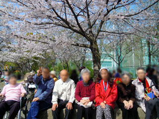 hanami01.jpg