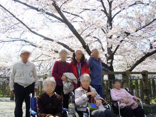 hanami02.jpg