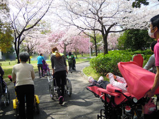 hanami04.jpg