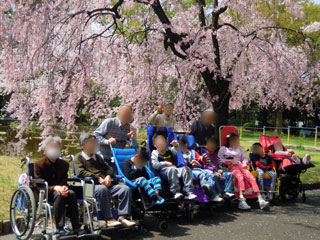hanami08.jpg