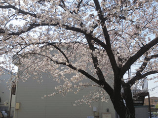 2015033102.gif